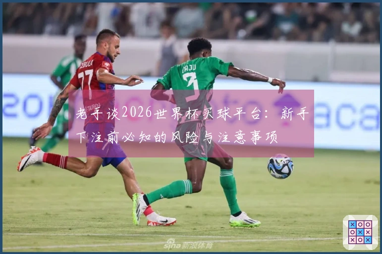 老手谈2026世界杯买球平台：新手下注前必知的风险与注意事项