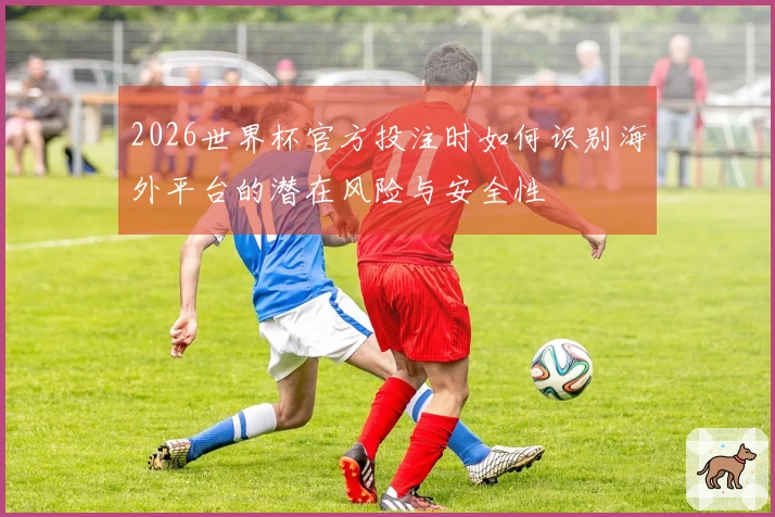 2026世界杯官方投注时如何识别海外平台的潜在风险与安全性