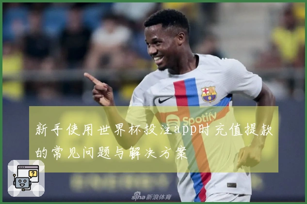 新手使用世界杯投注app时充值提款的常见问题与解决方案
