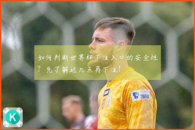 如何判断世界杯下注入口的安全性？先了解这几点再下注！