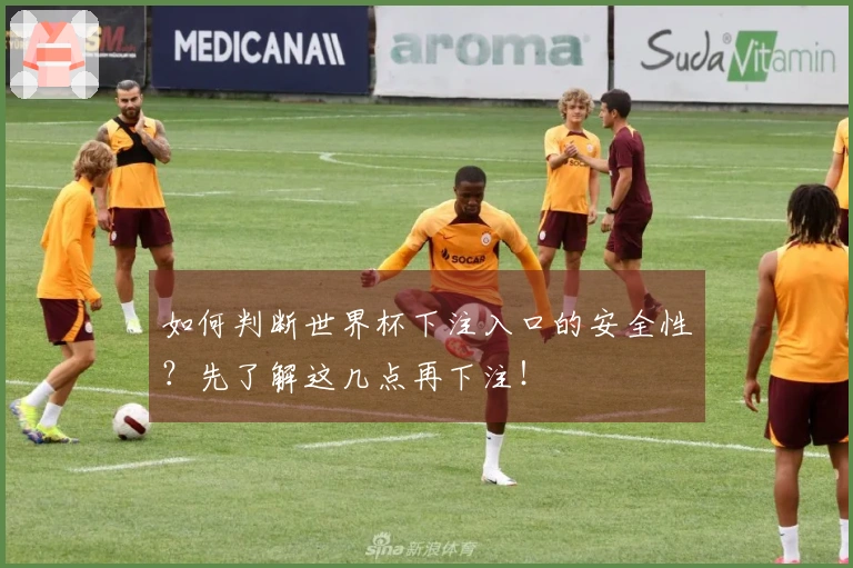 如何判断世界杯下注入口的安全性？先了解这几点再下注！